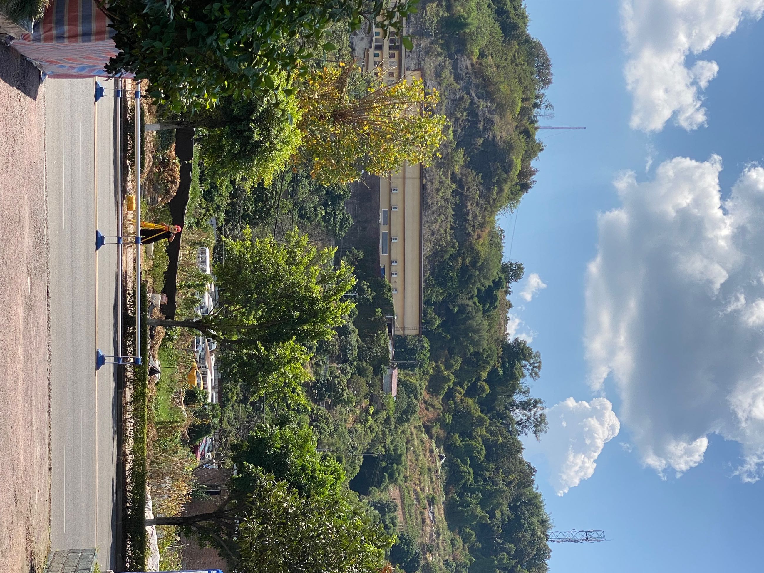 IMG_7383.jpeg
